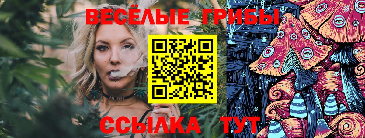 Псилоцибиновые грибы MAGIC MUSHROOMS  дарнет шоп  Лыткарино  Галлюциногенные грибы GOLDEN TEACHER  Вход с VPN 